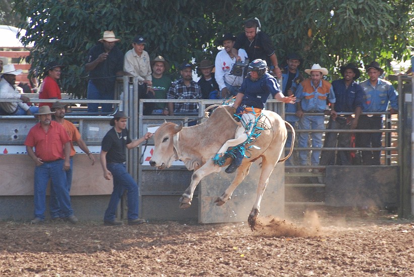47- Rodeo.JPG